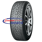 BluEarth*Winter V905